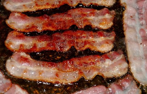 Fat Facts – Nutritional Advice for Rugby Players