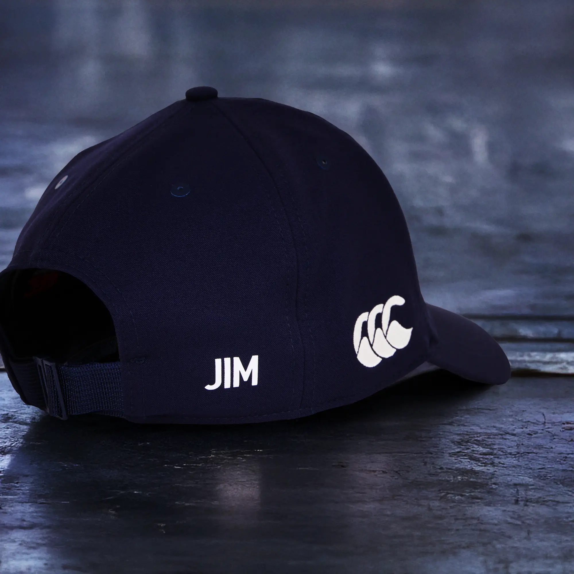 Lions-cap-2