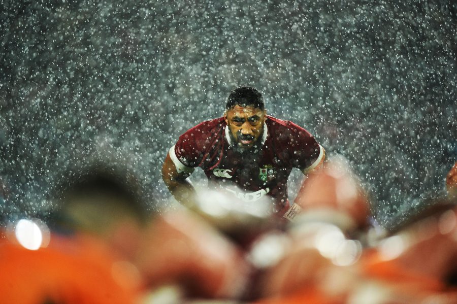 Best Shots of the Lions Tour