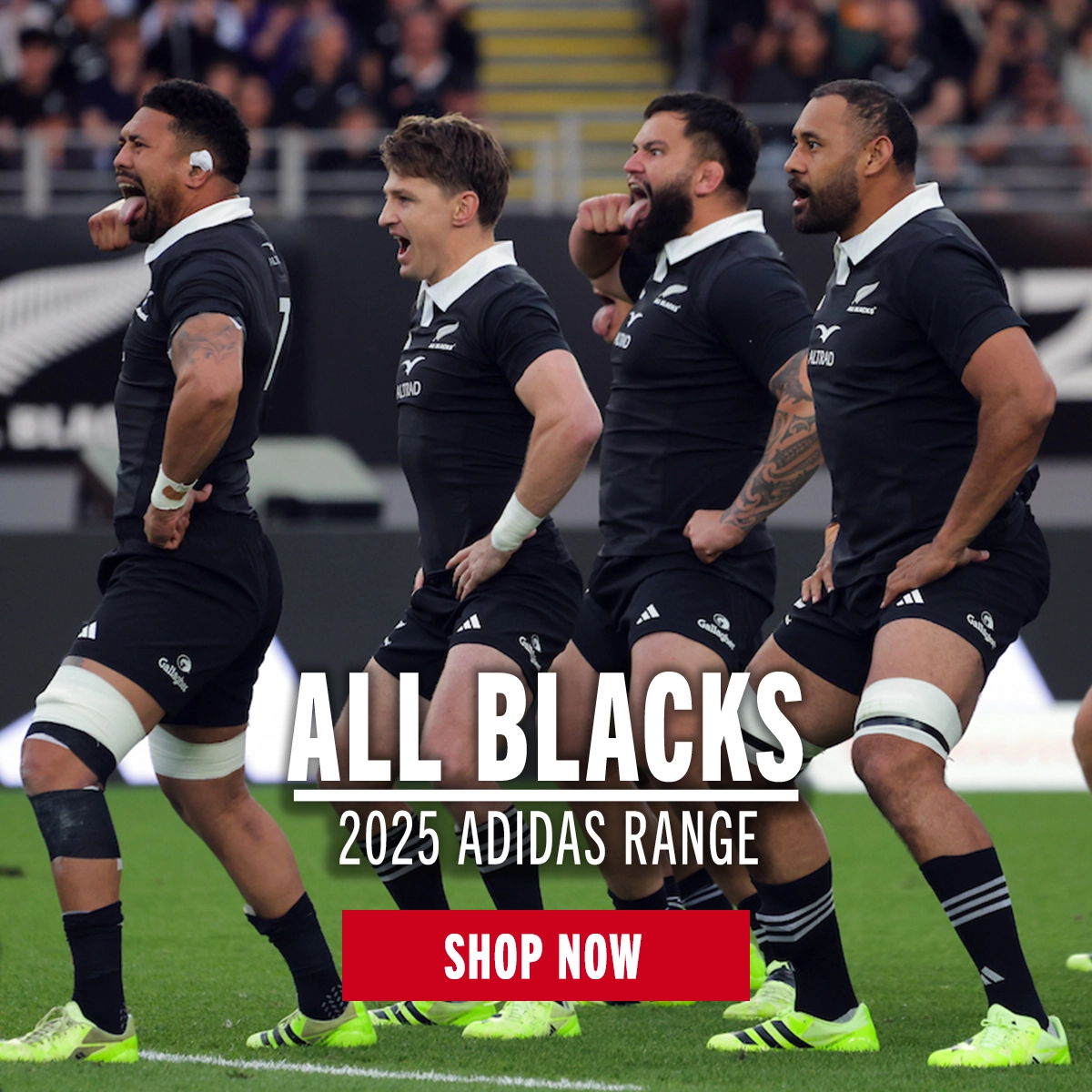New Zealand All Blacks Rugby Shop our wide range of New Zealand All Blacks rugby clothing and merchandise from Adidas.