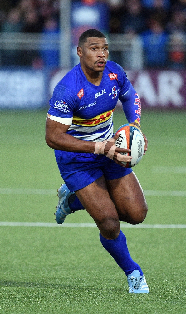 Stormers rugby